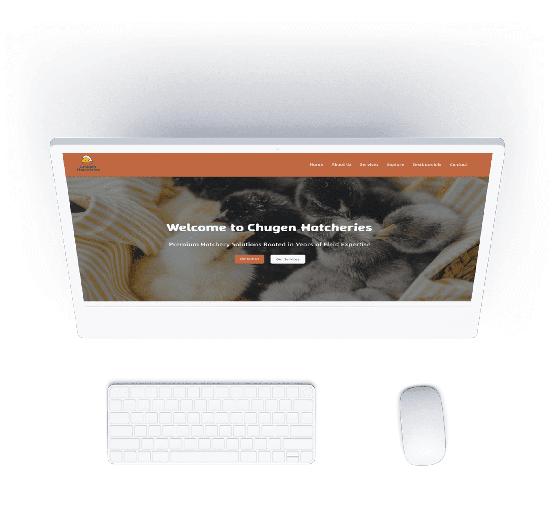 Website Performance